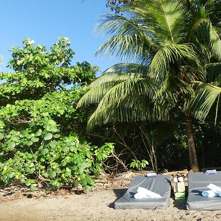 The Tranquilo Lodge, Adult Only, All Meals Included Drakes Bay エクステリア 写真