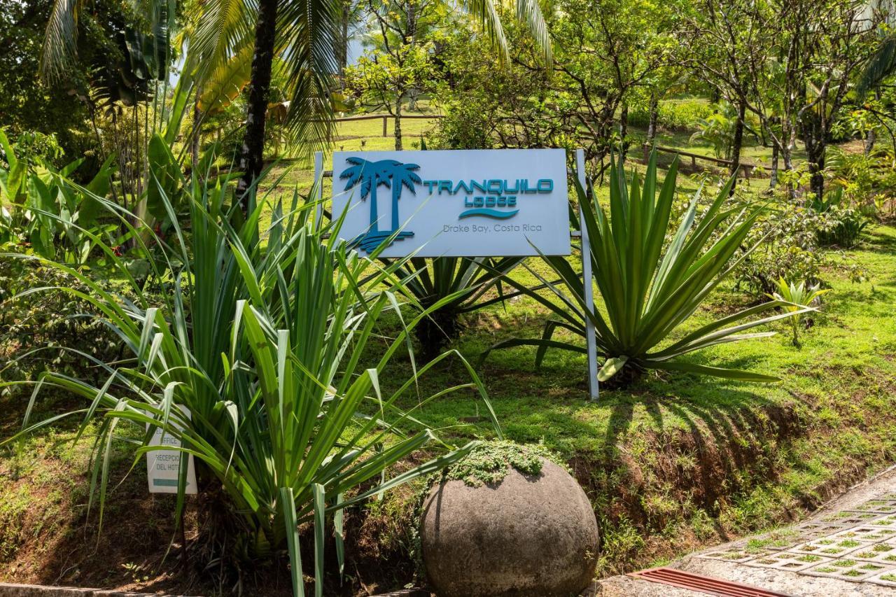 The Tranquilo Lodge, Adult Only, All Meals Included Drakes Bay エクステリア 写真